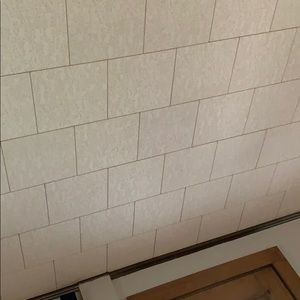 Meet your Posher, Shauna